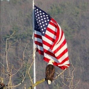 Meet your Posher, Roberta